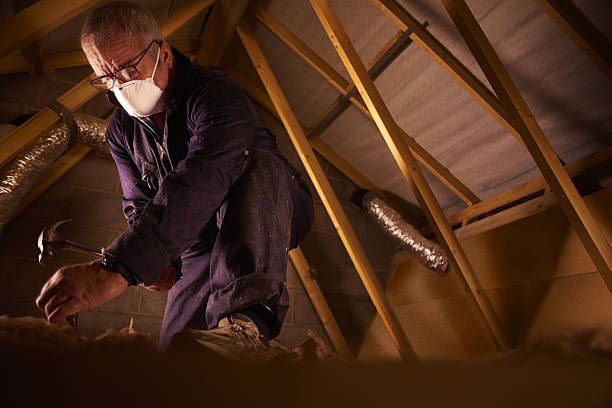Best Commercial Insulation in Yermo, CA