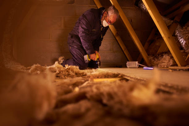 Best Cellulose Insulation in Yermo, CA